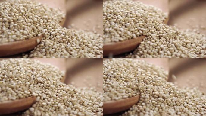 生藜麦种子。微距拍摄