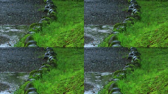 在日本，石头和苔藓上的雨滴