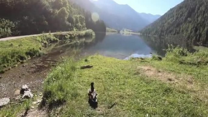 一只鸭子走向奥地利施拉德明附近山谷底部的海军蓝色湖。高山。山坡上长满了茂密的森林。荒野与平静