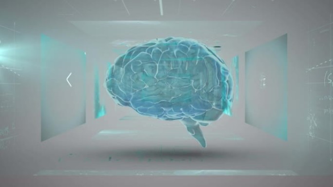 在屏幕上进行数字数据处理的人脑旋转的动画