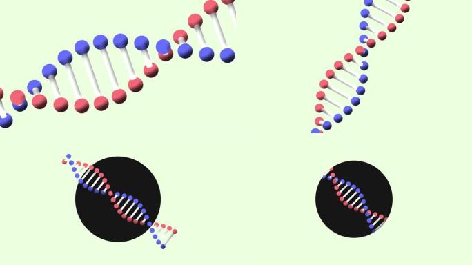绿色背景上dna链旋转的动画
