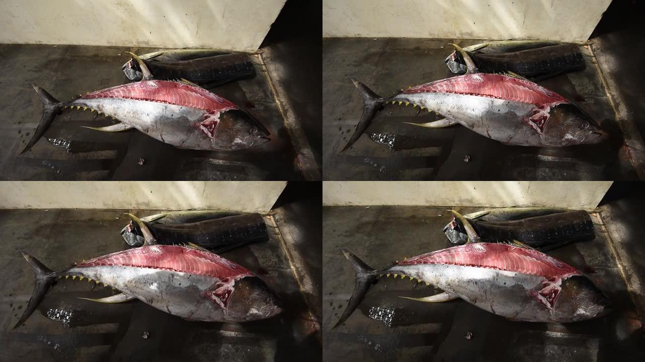 大金枪鱼已经在市场上切成薄片