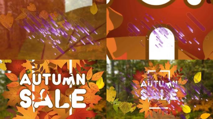 文字秋季销售动画，秋林背景上有落叶和紫色小径