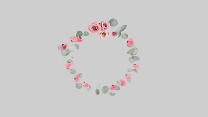 灰色背景上催眠运动旋转的粉红色花朵动画