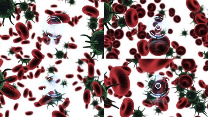 圆形范围扫描白色血细胞和covid 19细胞的动画