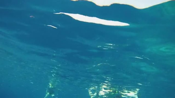 在埃及红海表面游泳的人的水下拍摄。GoPro