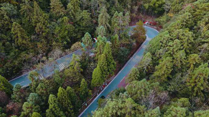 汽车行驶在森林V型弯道公路航拍