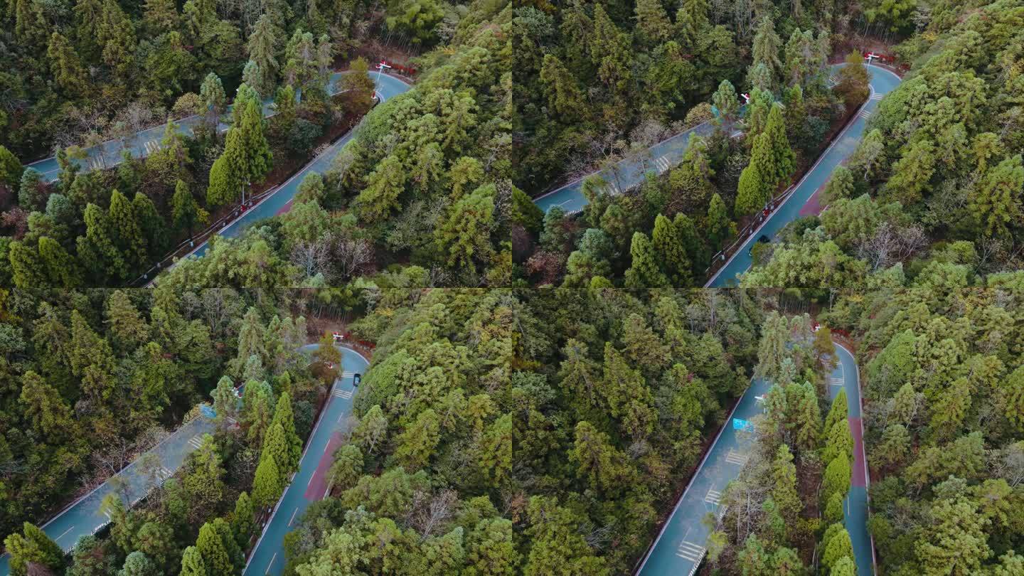 汽车行驶在森林V型弯道公路航拍