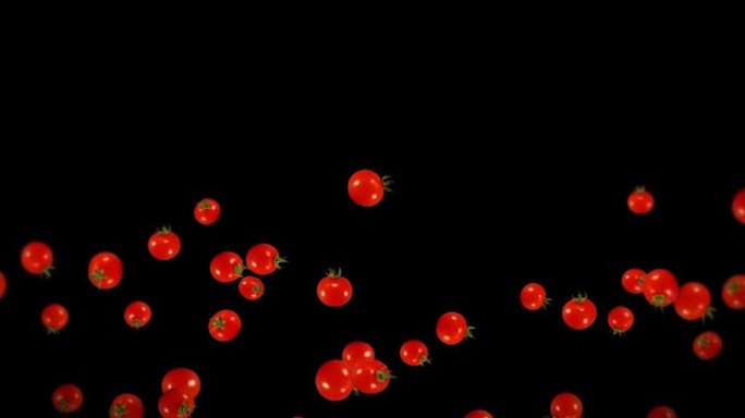 在黑色背景上飞行许多新鲜西红柿。有机蔬菜。成熟多汁的樱桃番茄。番茄旋转的3D循环动画。