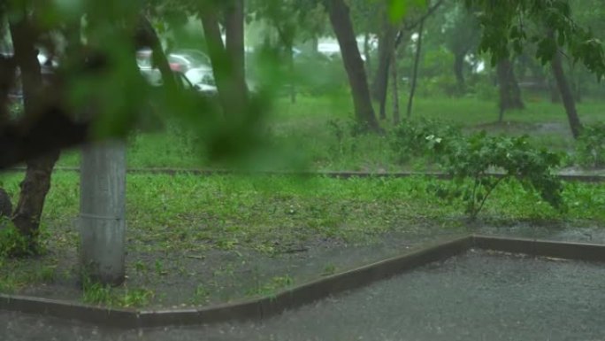 潮湿的柏油路和绿色公园上的雨滴。掉落在沥青地面上的水滴。大雨。市街。雨水溅到沥青上。特写。雨季。淹没
