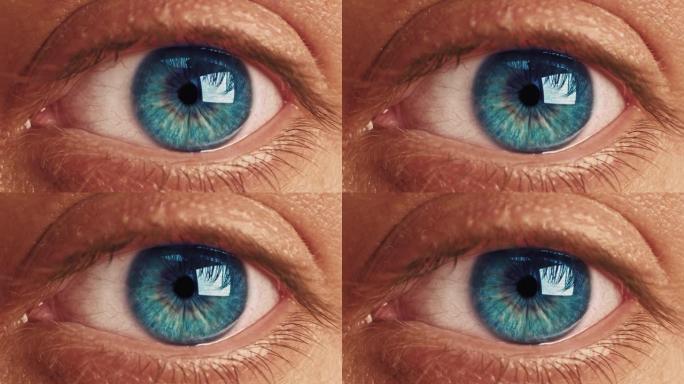 特写。宏观男性人类蓝眼睛。瞳孔角膜虹膜眼球睫毛