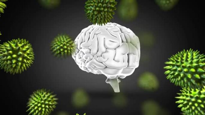 在灰色背景上对抗人脑旋转的多个新型冠状病毒肺炎细胞的数字动画