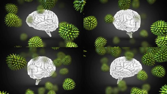 在灰色背景上对抗人脑旋转的多个新型冠状病毒肺炎细胞的数字动画
