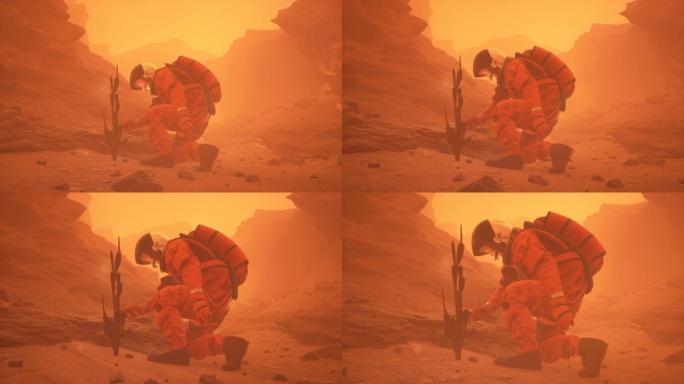 一位宇航员在没有生命的红色星球火星上发现了一种植物。这个人是用3D电脑图形制作的。动画是为未来或太空