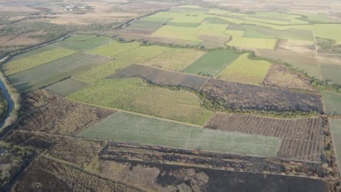 墨西哥塔毛利帕斯州甘蔗种植园的鸟瞰图。