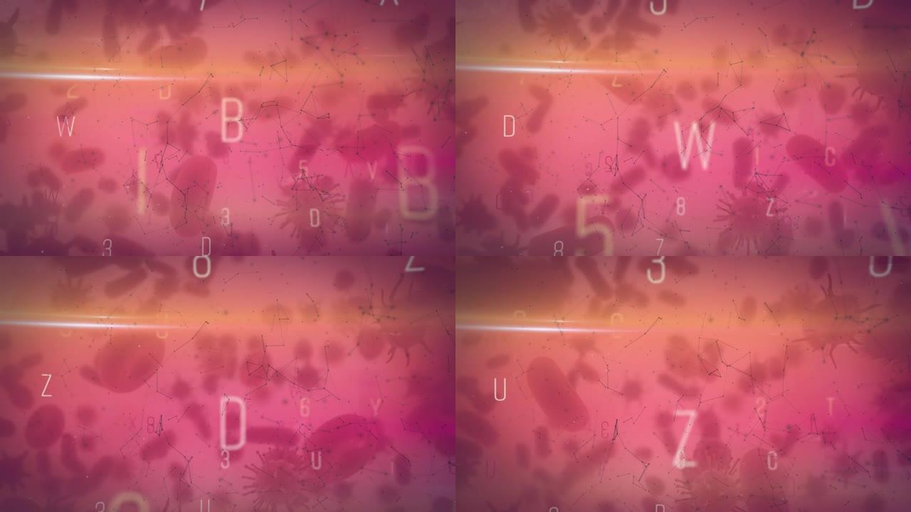 粉红色上移动字母和单元格上的连接网络动画