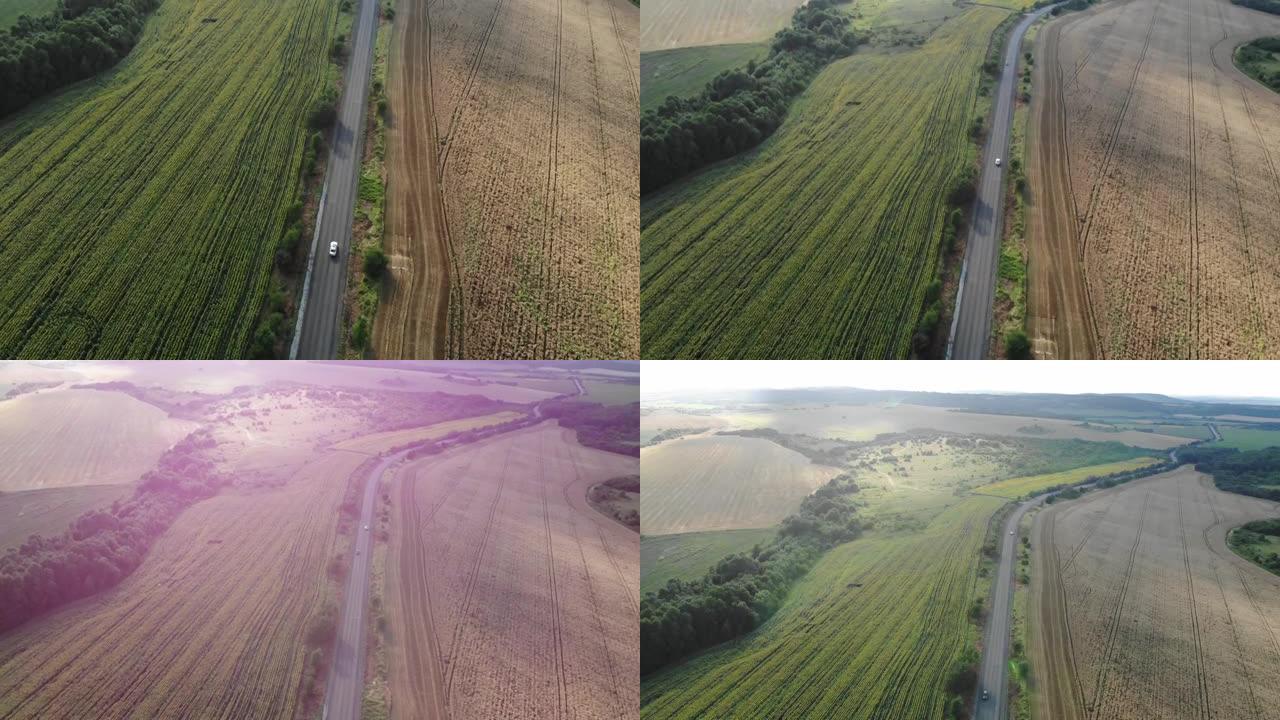 4k视频空中无人机拍摄了一条直线道路，两辆汽车在农田之间经过
