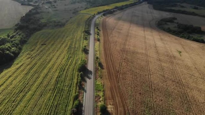 4k空中无人机拍摄了绿色和棕色田野之间的一条直线空旷道路
