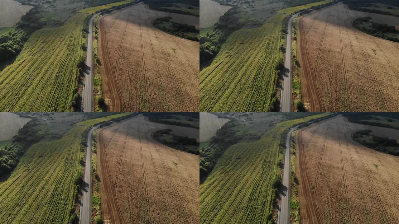 4k空中无人机拍摄了绿色和棕色田野之间的一条直线空旷道路