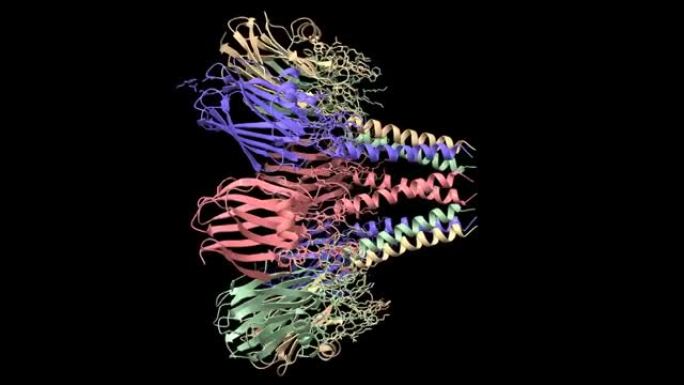 来自海葵acetinia fragacea的fragacatoxin C (FraC) 的结构