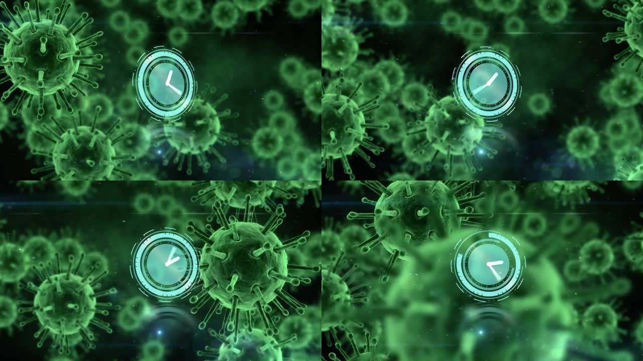 绿色covid 19细胞上的时钟和范围扫描动画