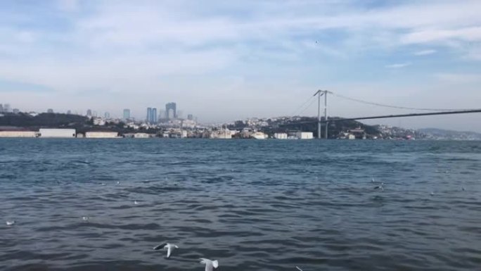 博斯普鲁斯大桥和土耳其伊斯坦布尔的海景