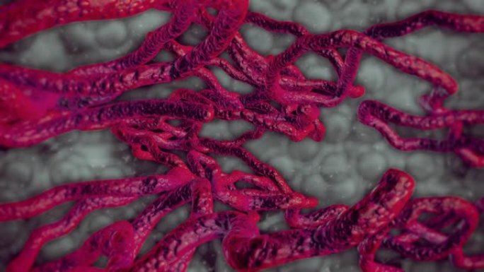 埃博拉病毒细胞医药课程片头医疗科研细胞视