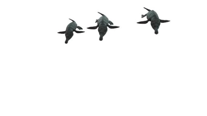 捕食者X-Pliosaurus Funkei游泳动画背景，3d渲染