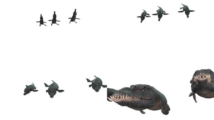 捕食者X-Pliosaurus Funkei游泳动画背景，3d渲染