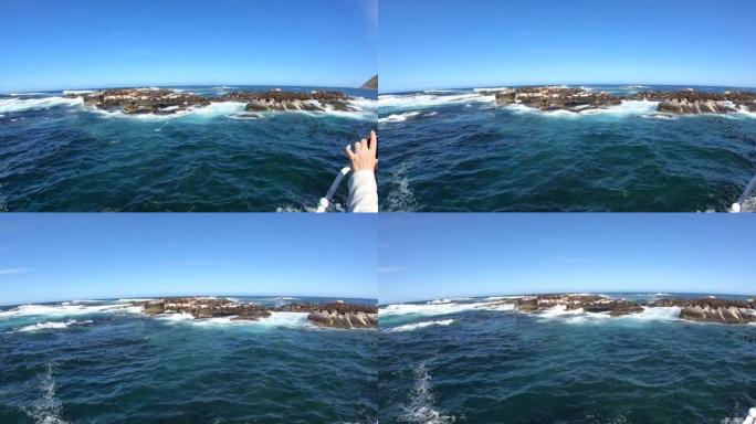 南非开普敦附近的海豹岛乘船旅行野生生物殖民地玩跳跃游泳广角清澈蓝天4k慢动作