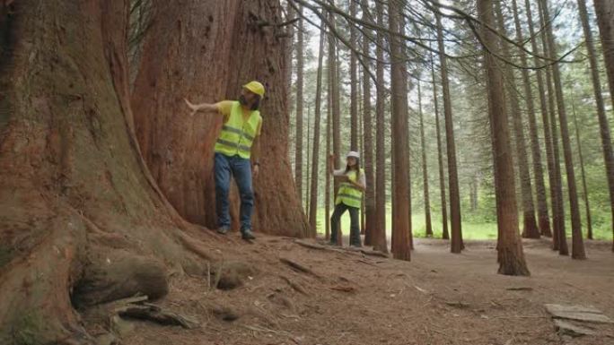 野外工作的生态学家。Forester检查森林中自然条件下的树木，并取样进行深入研究。生态系统关怀和可