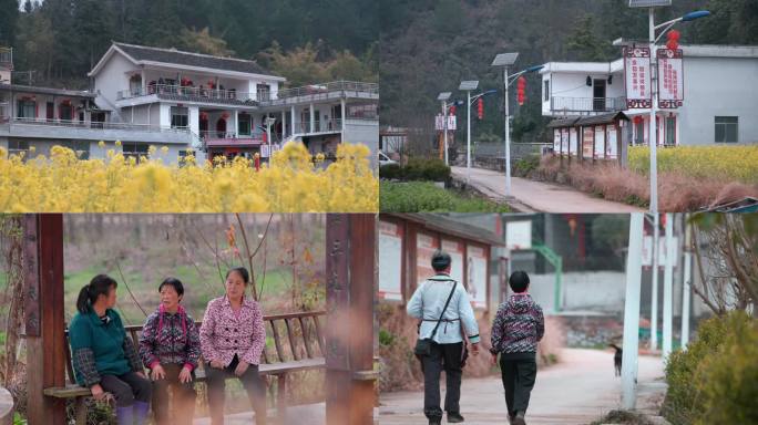 新农村建设 农村新修住房