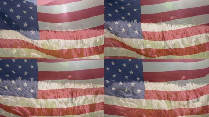 美国国旗在阳光明媚的草地上移动的动画