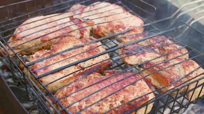 大块肉在铁丝架上的热煤上烤