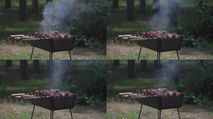 烤肉串是用猪肉在木炭上油炸的，并在户外烧烤。季节性户外活动，肉类烧烤特写。野餐。用煤烧烤。生烤烧烤猪