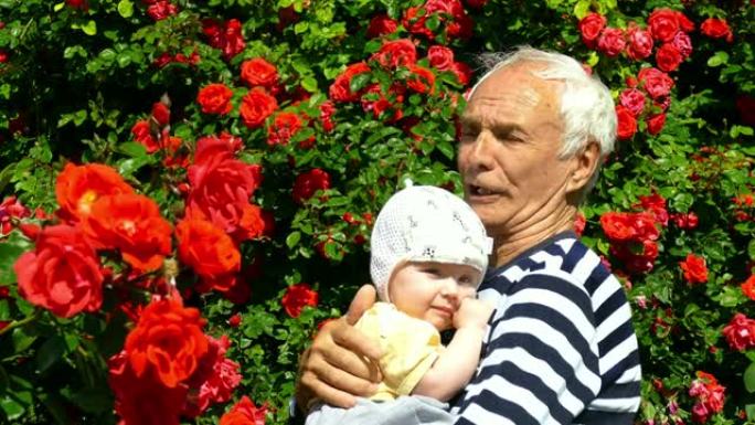 曾祖父抱着曾孙在玫瑰花园里