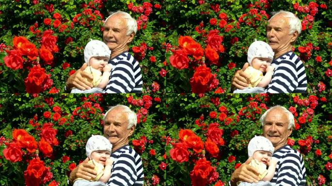 曾祖父抱着曾孙在玫瑰花园里