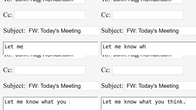输入转发电子邮件正文在线框。通过在网站上键入电子邮件向收件人发送转发的通信。FW类型的字母。监视器屏