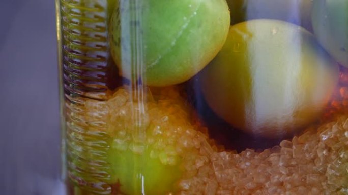 手工制作的日本杏糖浆。一个装有醋，糖和日本杏的玻璃瓶的视频。