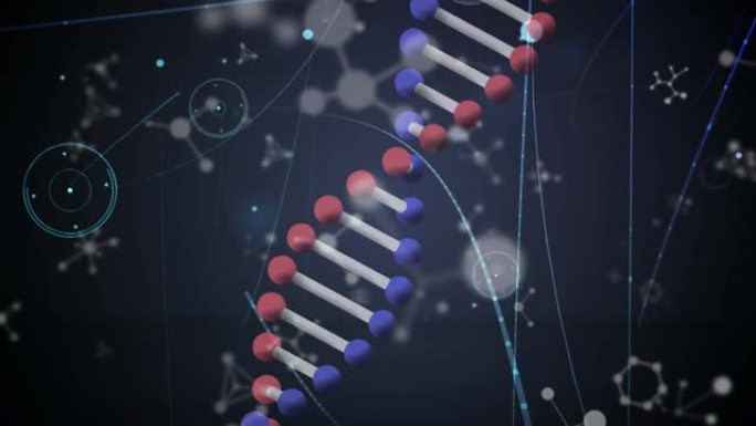 具有分子和连接网络的dna链旋转的动画