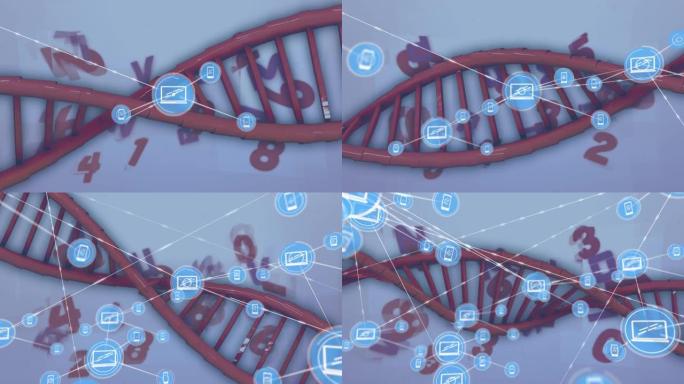 dna代码上连接网络的动画