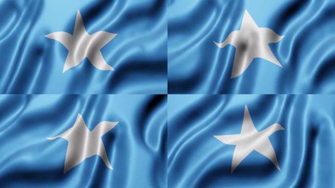 挥舞着索马里国旗