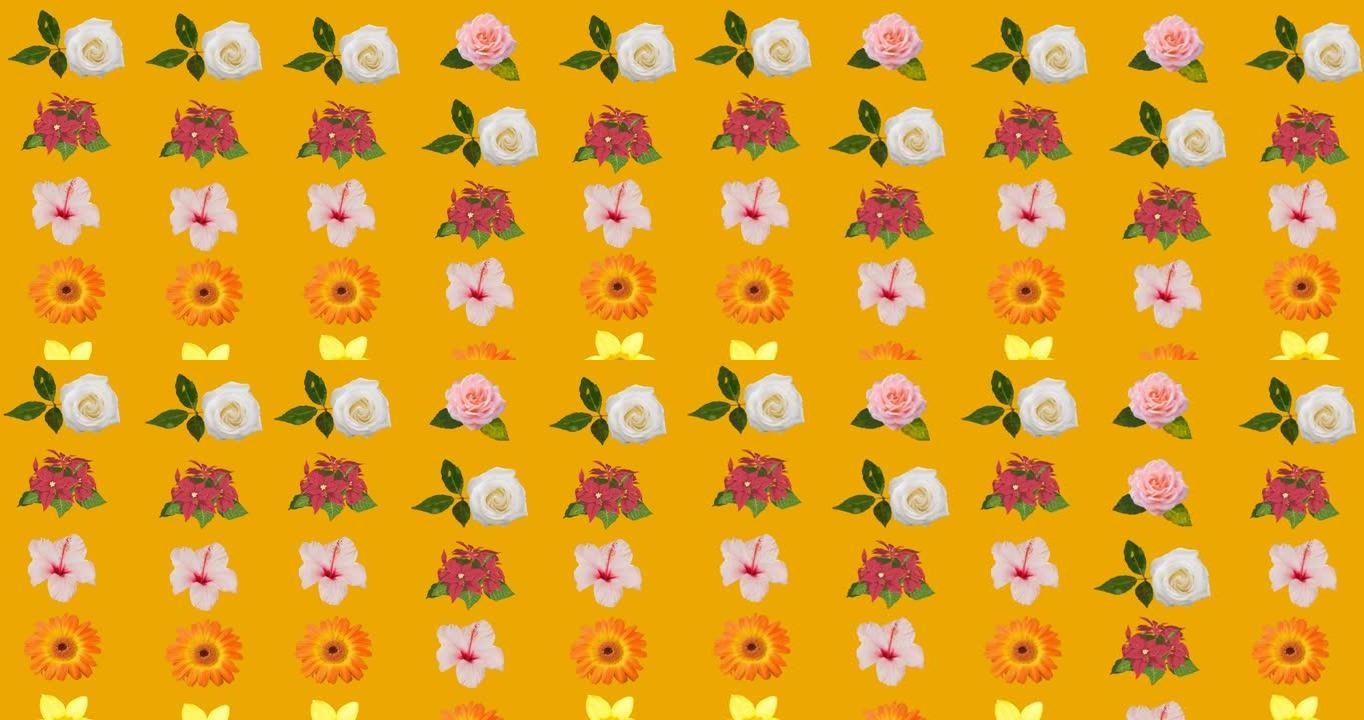 橙色背景上催眠运动的花朵动画