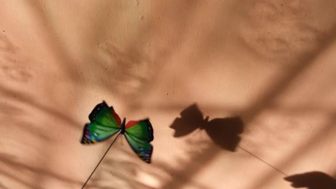 孩子玩蝴蝶玩具，观察墙上的阴影，玩得开心