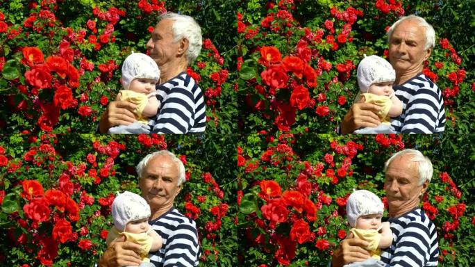婴儿在祖父的怀里，背景是一丛玫瑰