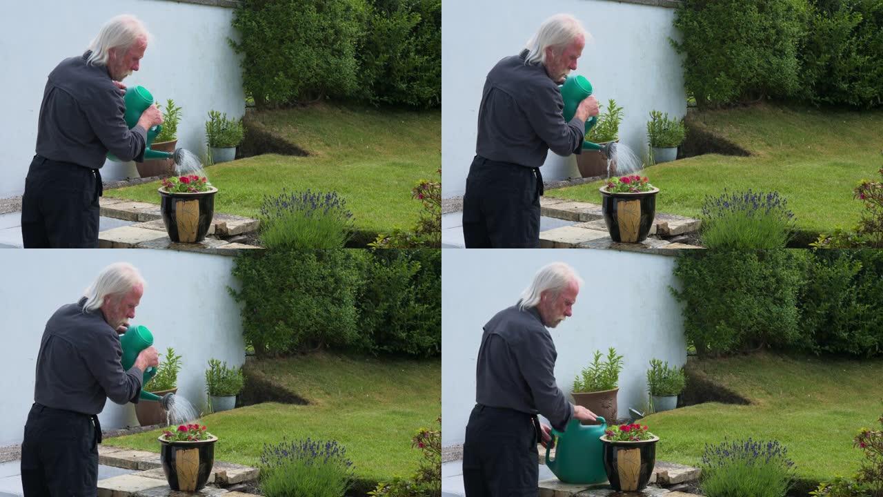 退休男子给新种植的矮牵牛浇水