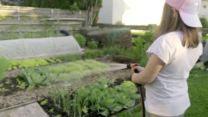 美丽的小女孩在夏日用水浇灌菜园。