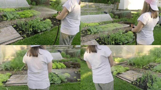 美丽的小女孩在夏日用水浇灌菜园。