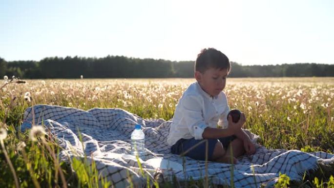 一个男孩坐在田野里吃苹果。健康饮食。户外娱乐。美丽的日落。一个非凡的世界。地球处于危险之中。健康的生