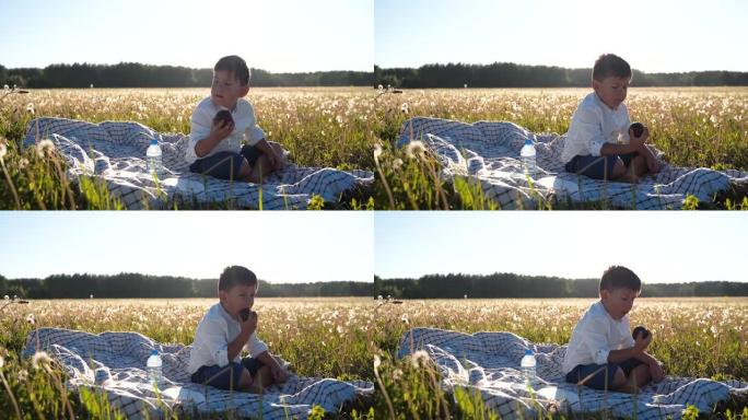 一个男孩坐在田野里吃苹果。健康饮食。户外娱乐。美丽的日落。一个非凡的世界。地球处于危险之中。健康的生